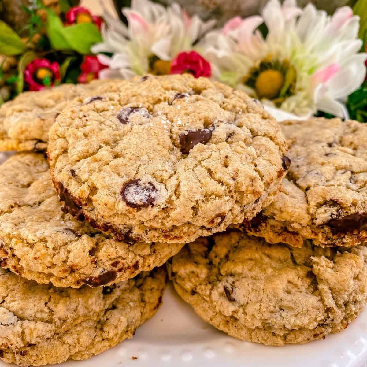 Glutenfree & Dairyfree Oatmeal Chocolate Chip Cookies Hope and Hummus