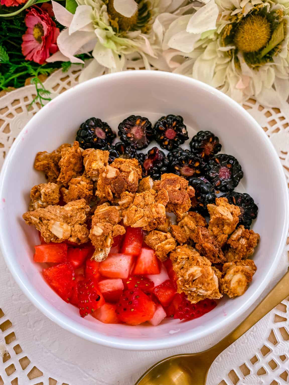 Vegan & Glutenfree High Protein Granola Hope and Hummus