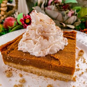 paleo vegan gluten free dairy free refined sugar free healthy pumpkin pie squares