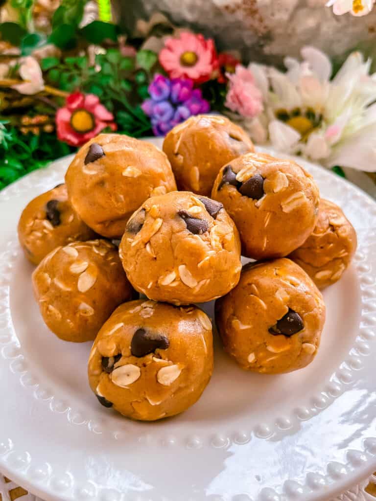 Peanut Butter Protein Balls-- A no-bake healthy snack!