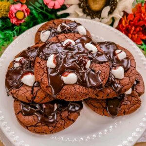 gluten free dairy free hot cocoa cookies