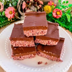 paleo vegan gluten free dairy free refined sugar free no bake cherry fudge bars