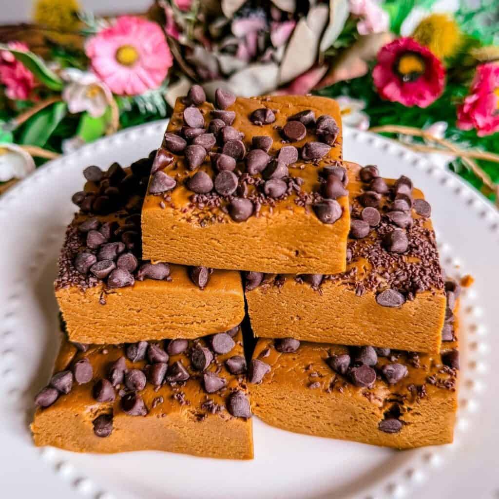 vegan gluten free dairy free healthy homemade peanut butter protein bars