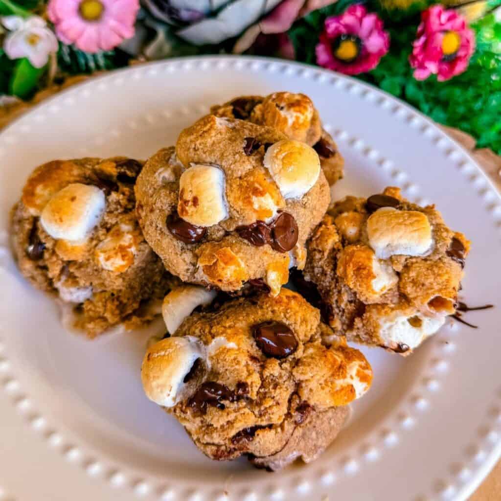 vegan gluten free dairy free healthy s'mores cookies