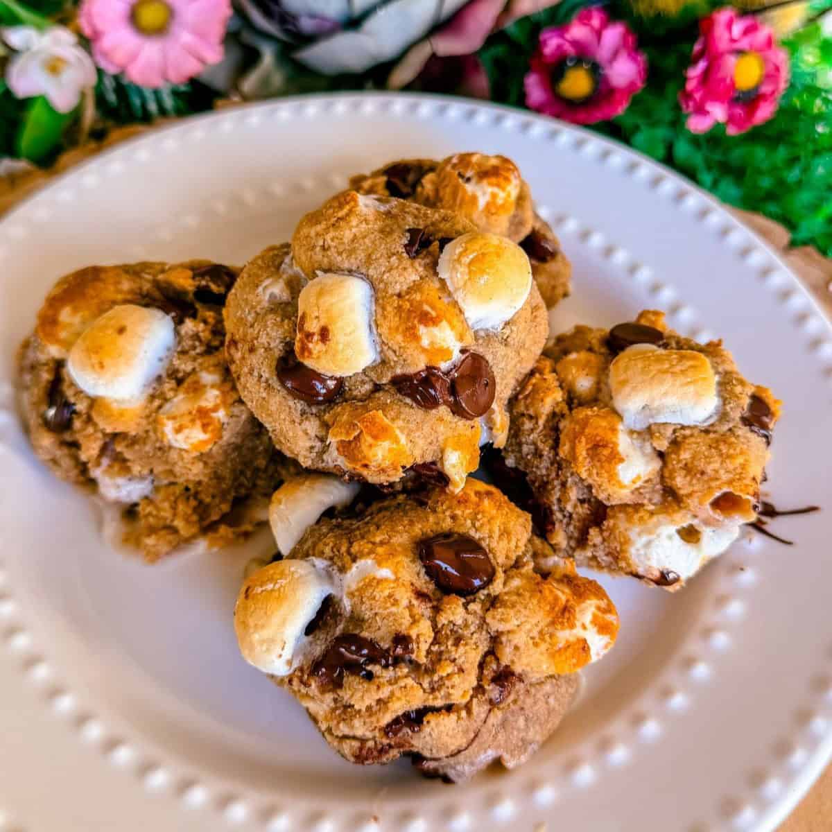 vegan gluten free dairy free healthy s'mores cookies