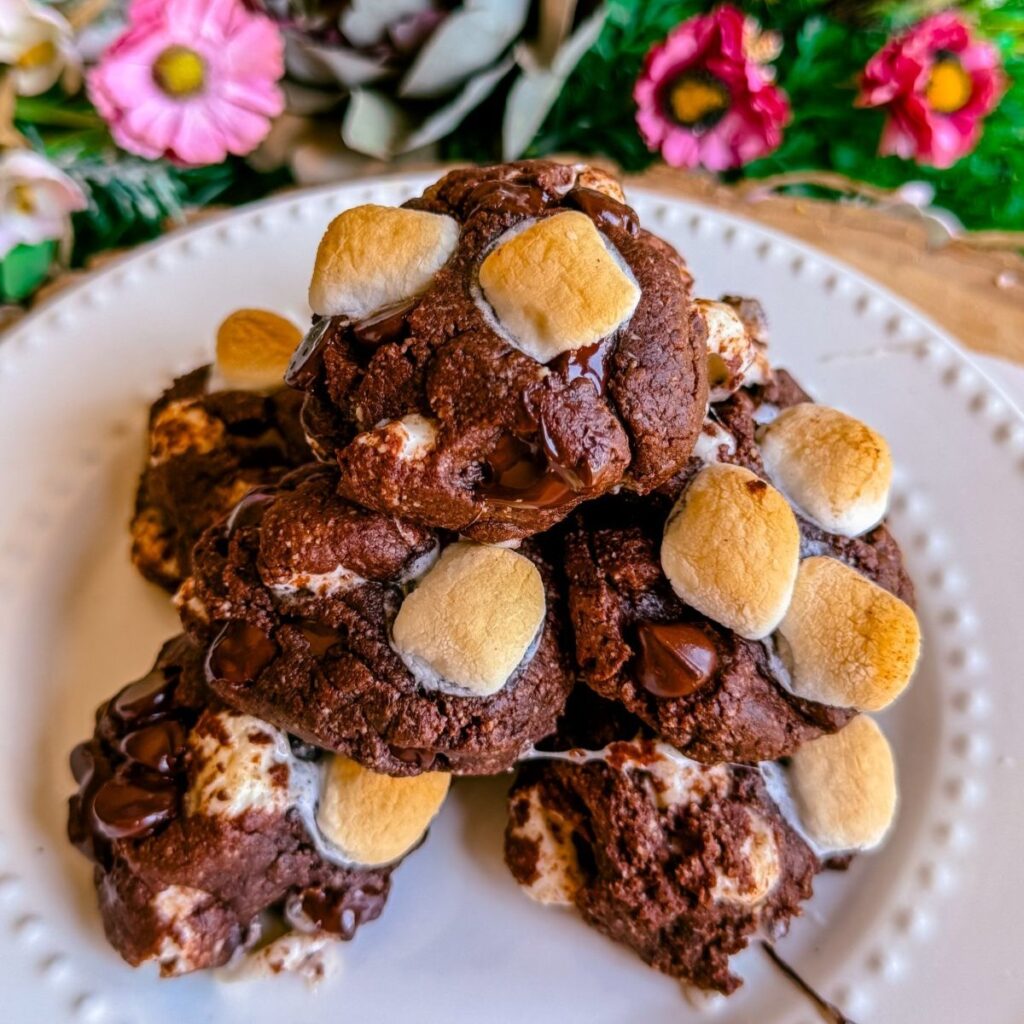 vegan gluten free dairy free chocolate smores cookies