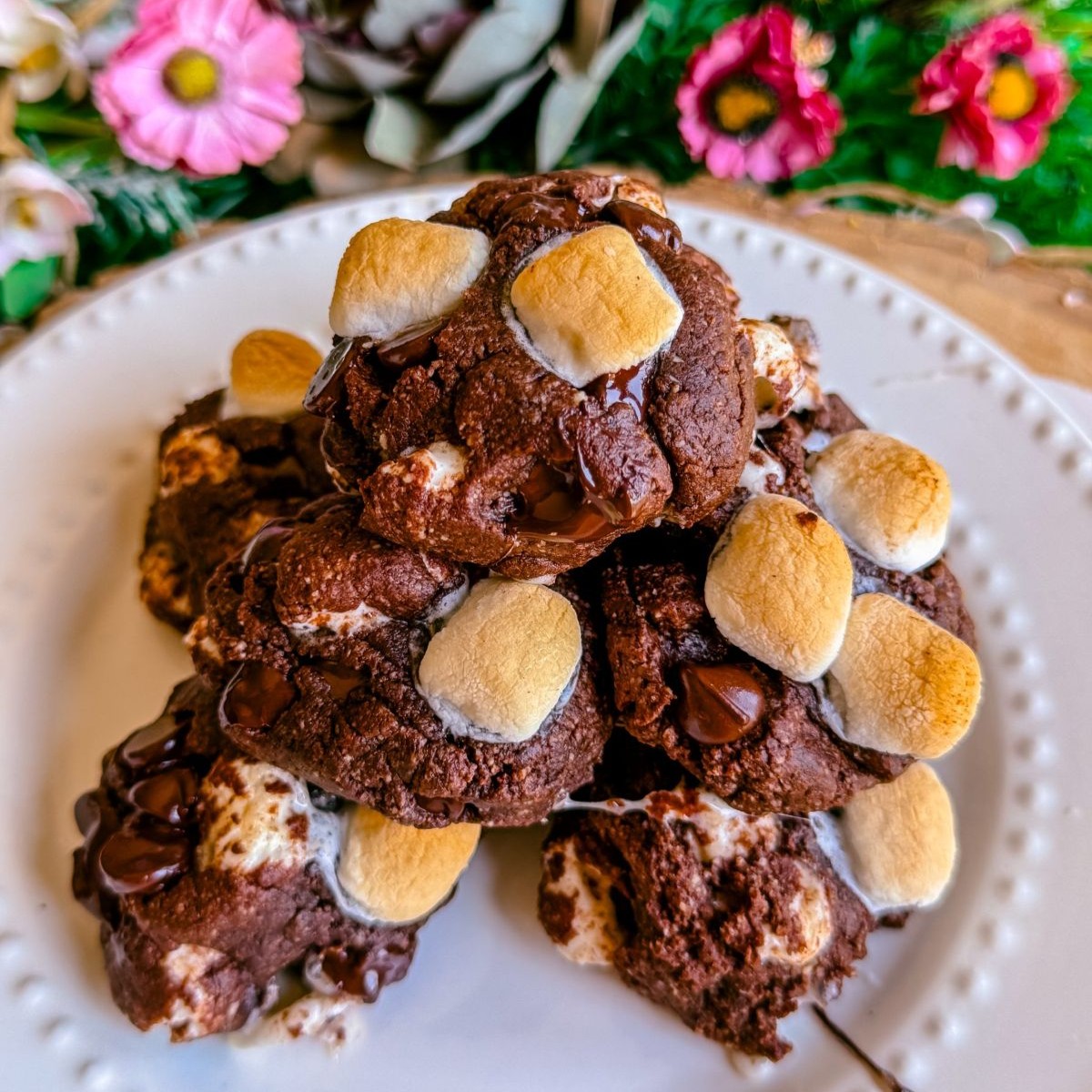 vegan gluten free dairy free chocolate smores cookies