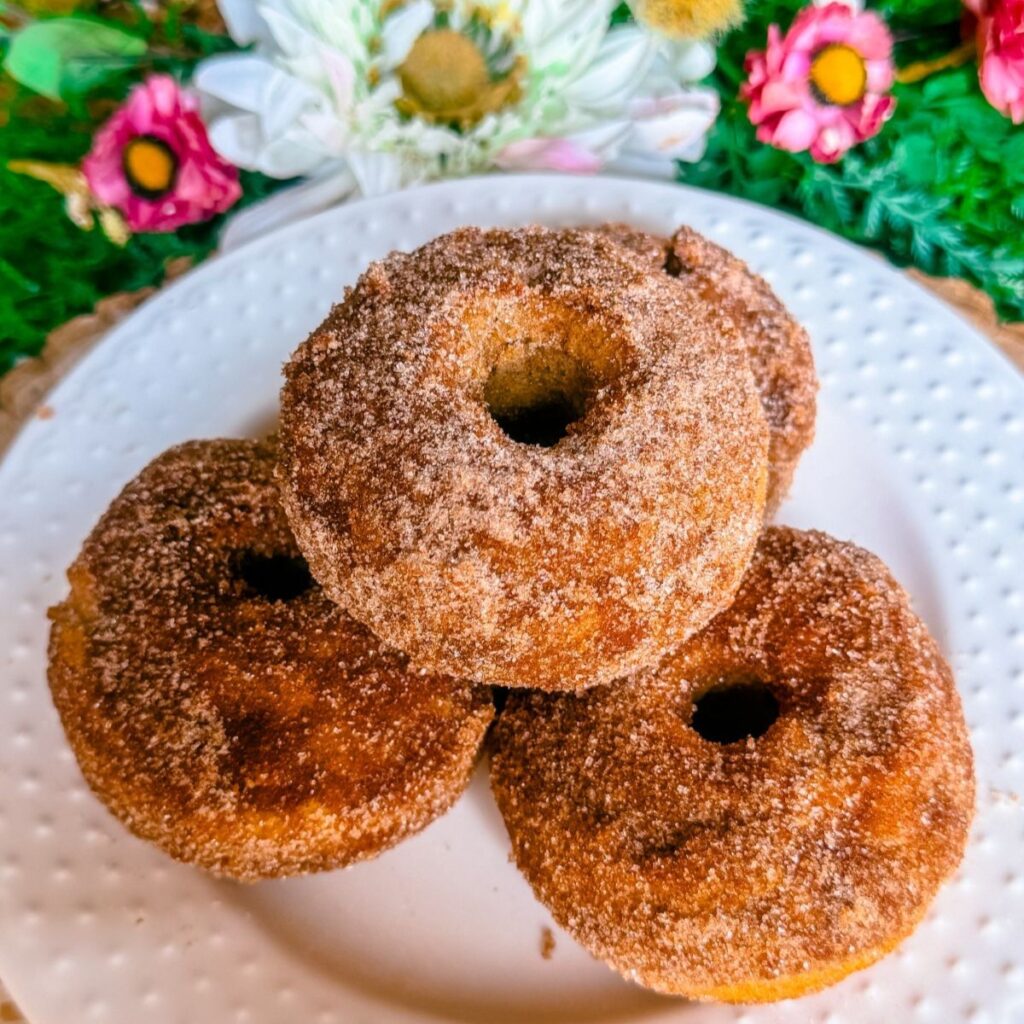 gluten free dairy free healthy cinnamon sugar donuts